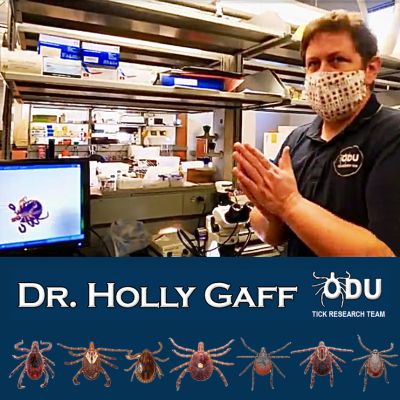 Holly Gaff COVER