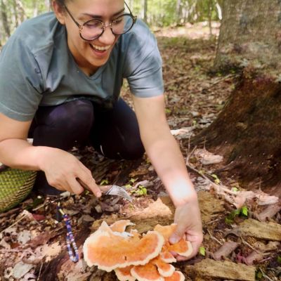 Gabrielle Cerberville forages chicken of the woods mushrooms from a log on the forest floor in Virginia